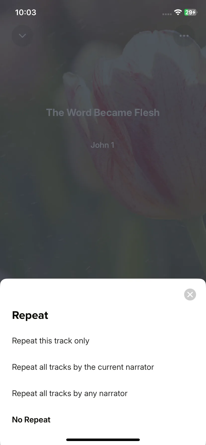 Test Image 3